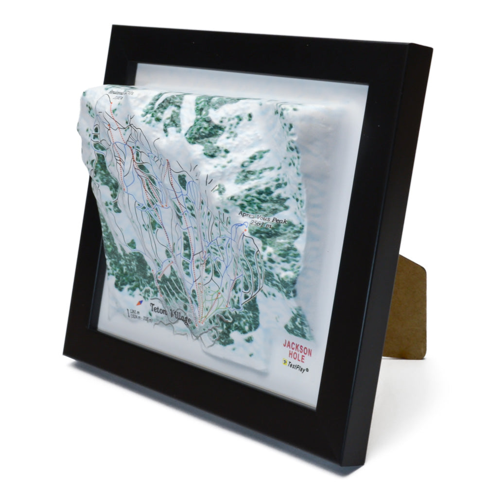 Jackson Hole 3D Ski Resort map