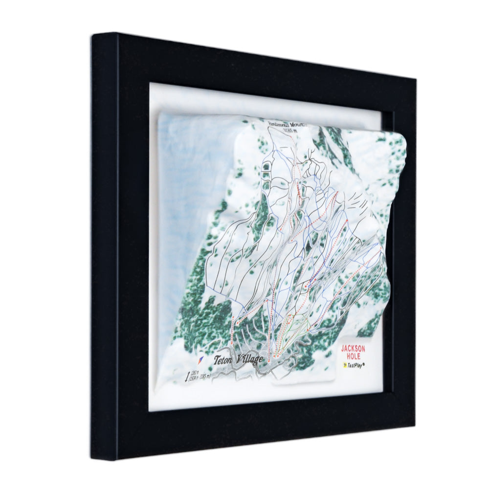 Jackson Hole 3D Ski Resort map