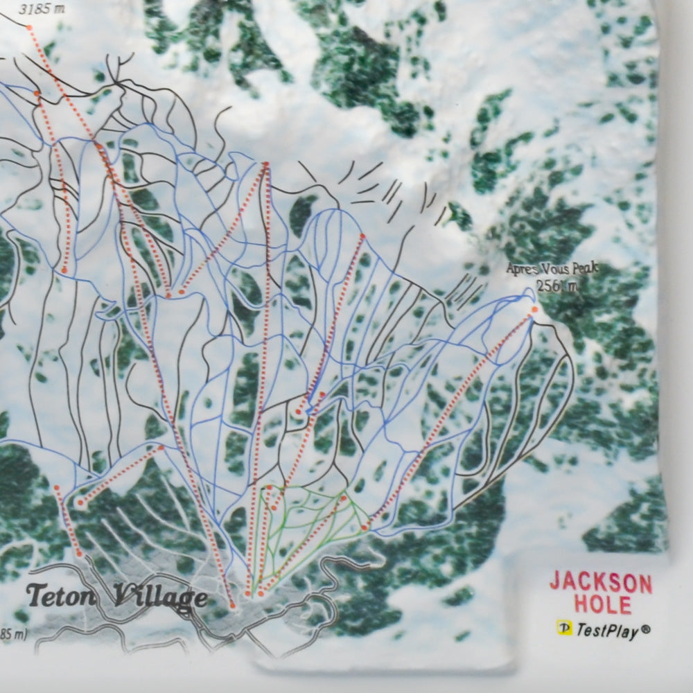 Jackson Hole 3D Ski Resort map