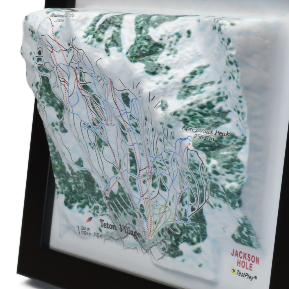 Jackson Hole 3D Ski Resort map