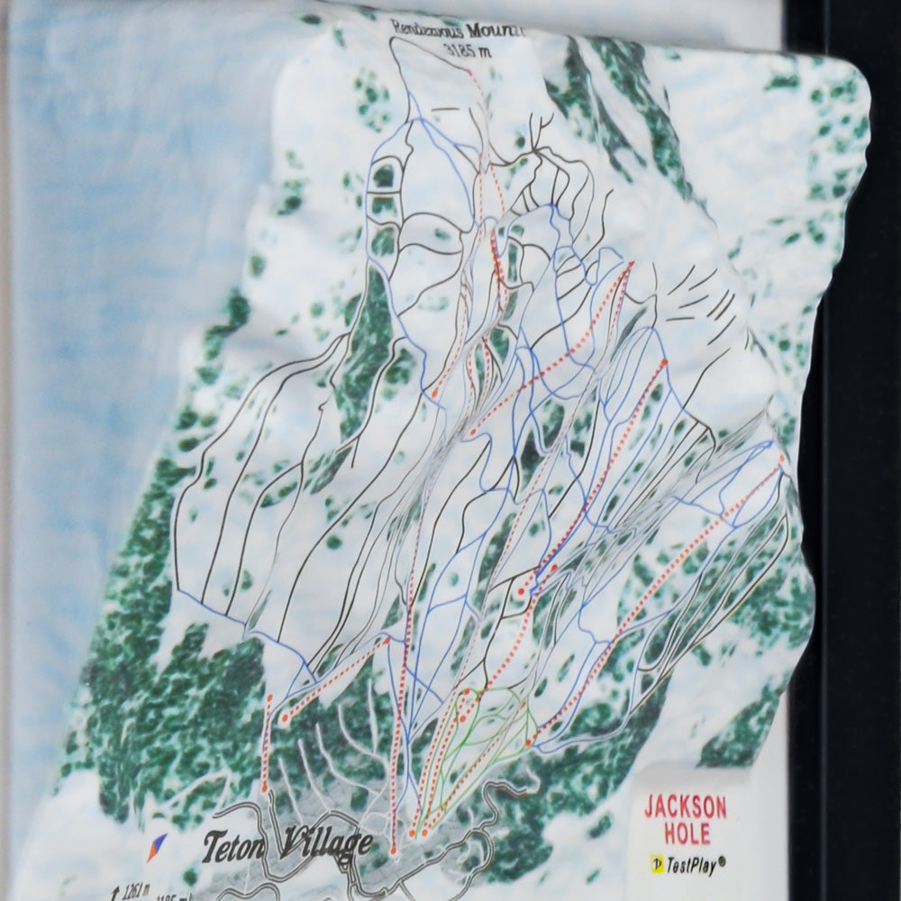 Jackson Hole 3D Ski Resort map
