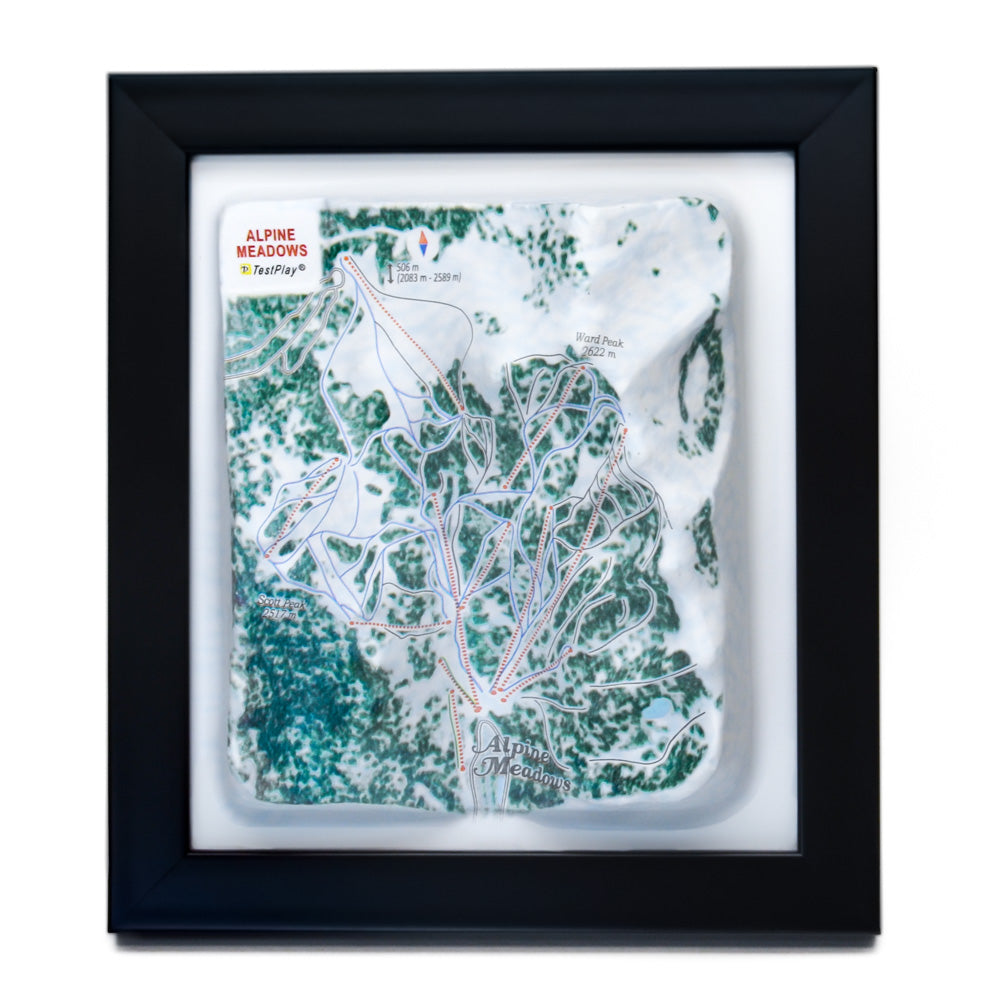 Alpine Meadows 3D Ski Resort map