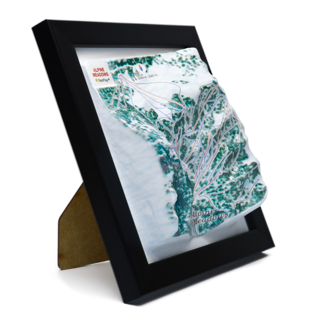 Alpine Meadows 3D Ski Resort map