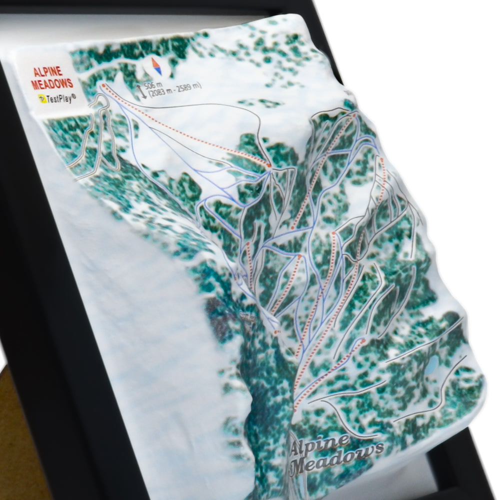 Alpine Meadows 3D Ski Resort map