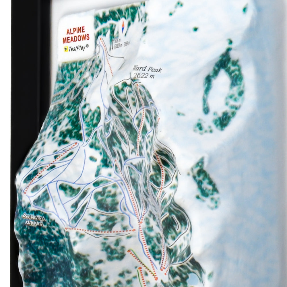 Alpine Meadows 3D Ski Resort map