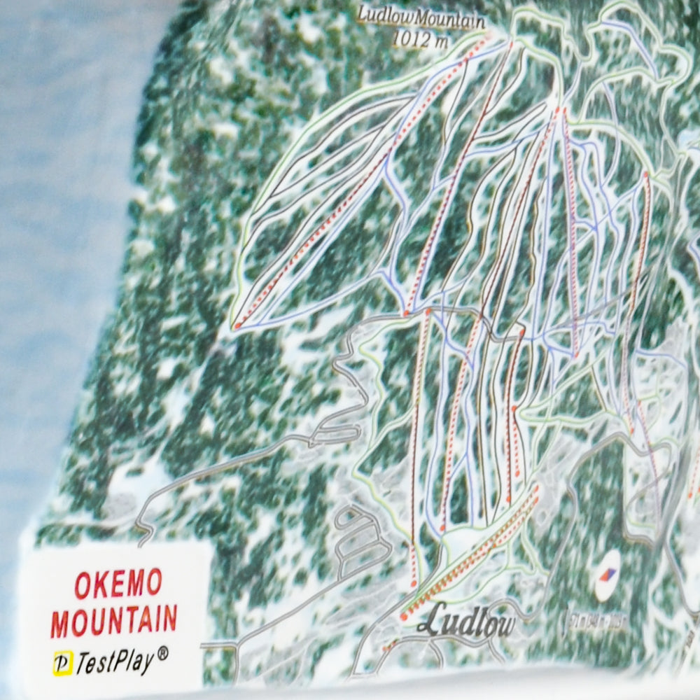 Okemo Mountain 3D Ski Resort map