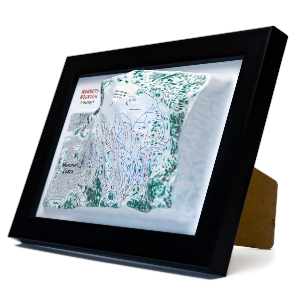 Mammoth Mountain 3D Ski Resort map