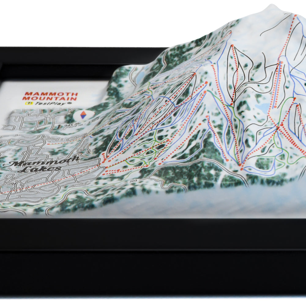 Mammoth Mountain 3D Ski Resort map
