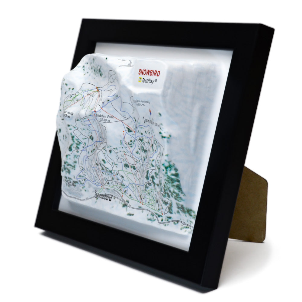 Snowbird 3D Ski Resort map
