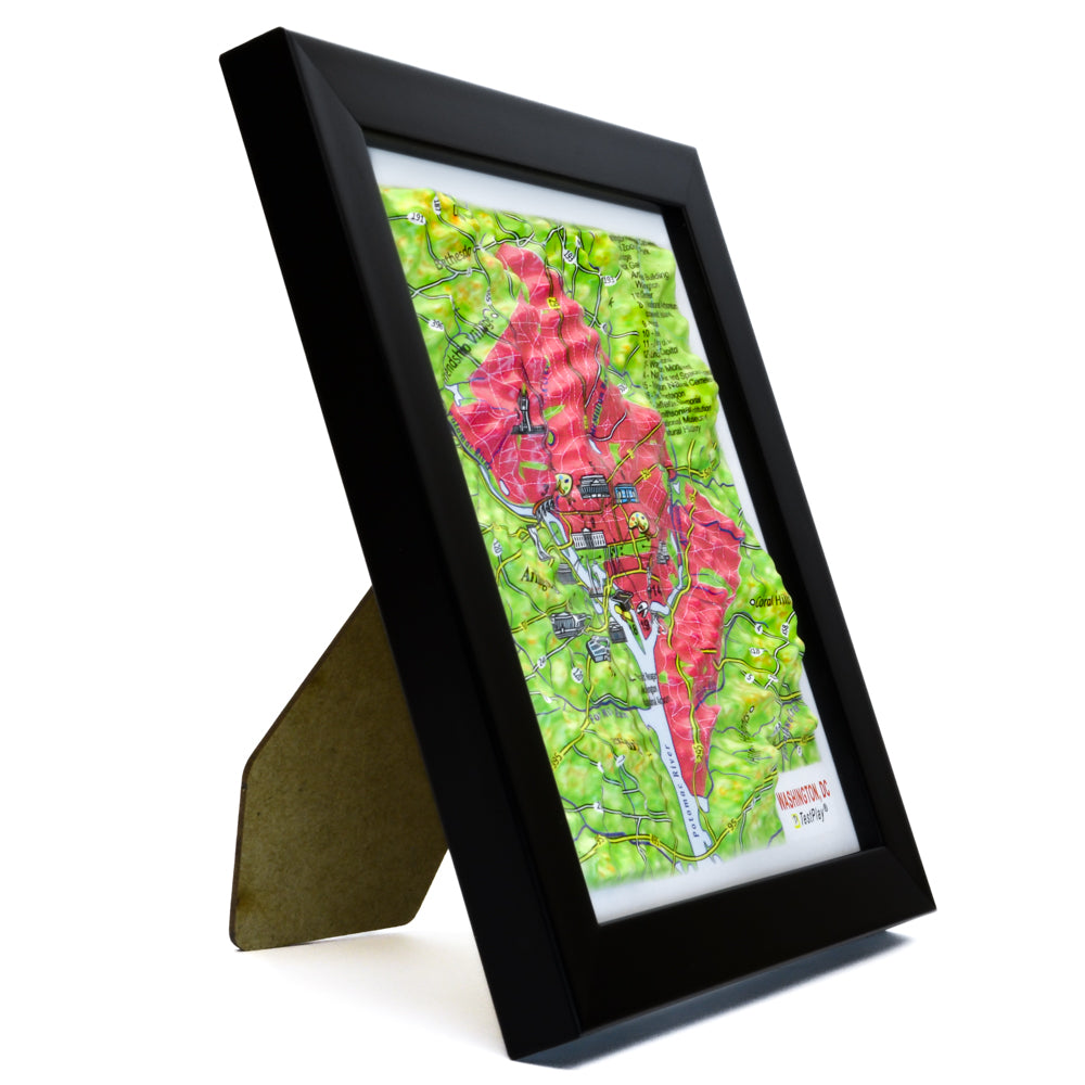 Washington, DC 3D souvenir map