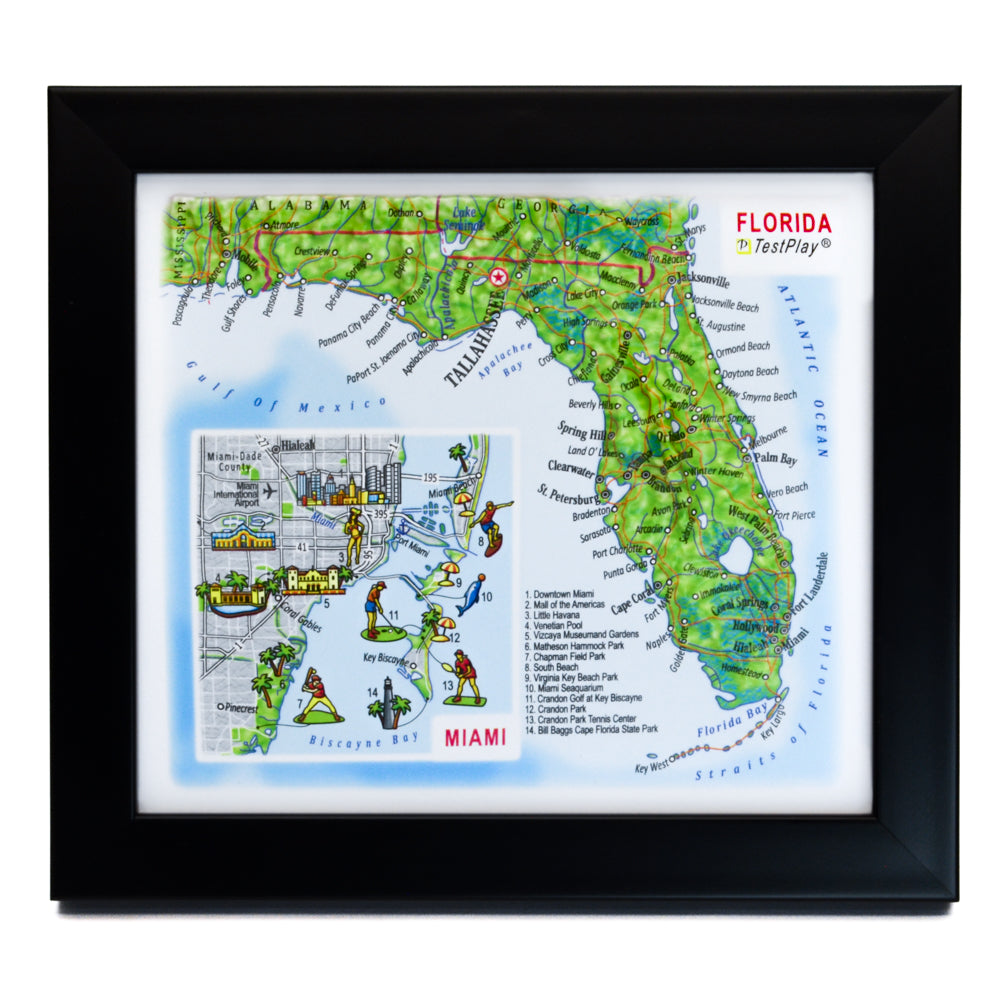 Florida & Miami 3D souvenir map