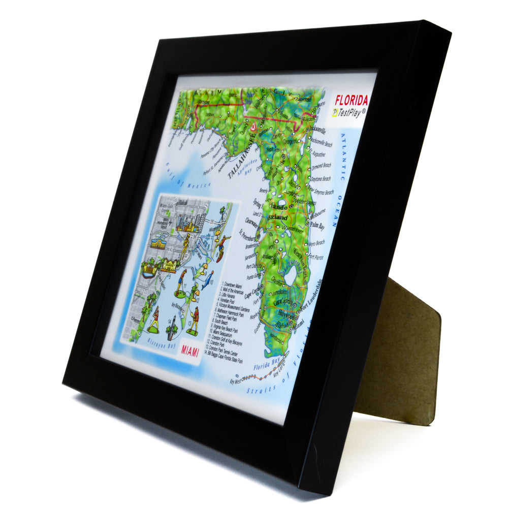 Florida & Miami 3D souvenir map