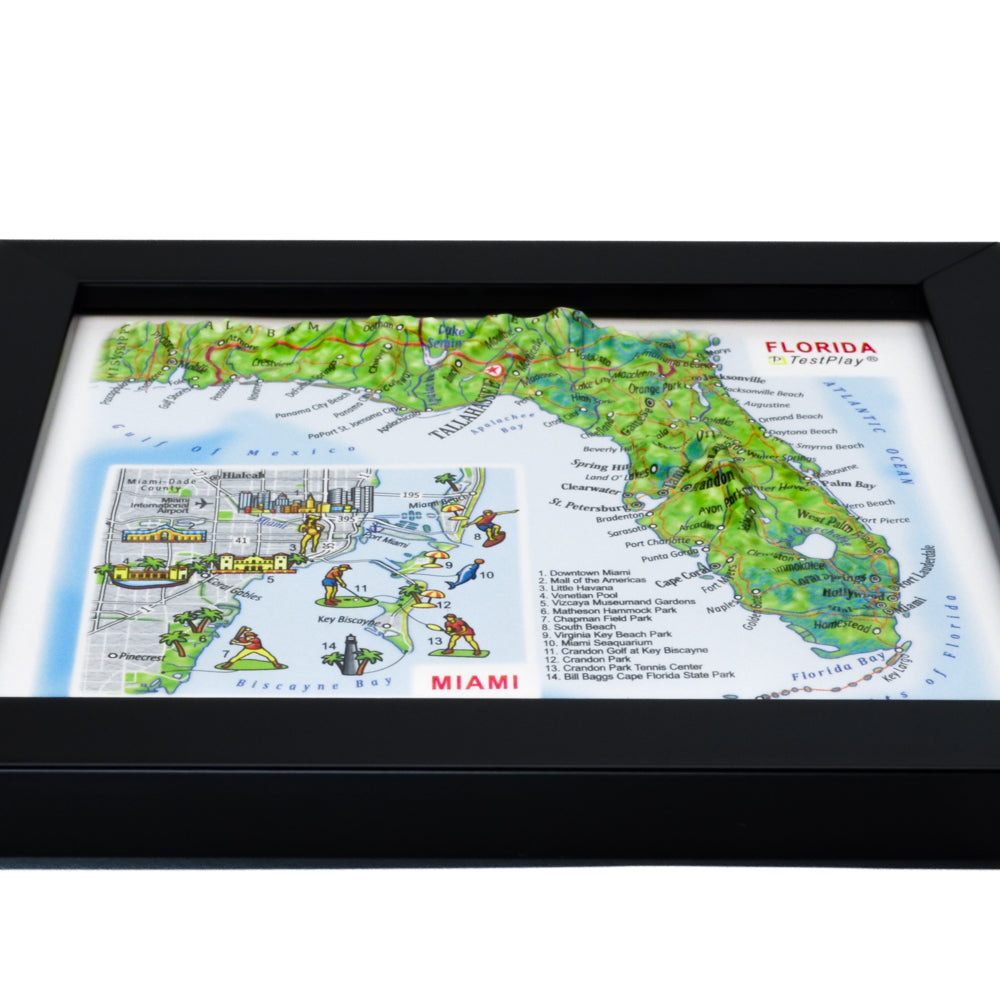 Florida & Miami 3D souvenir map