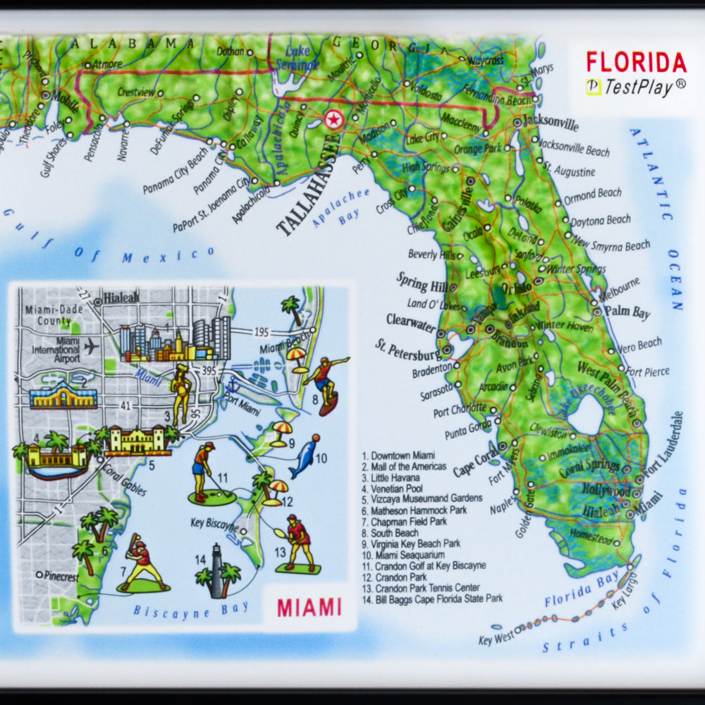 Florida & Miami 3D souvenir map