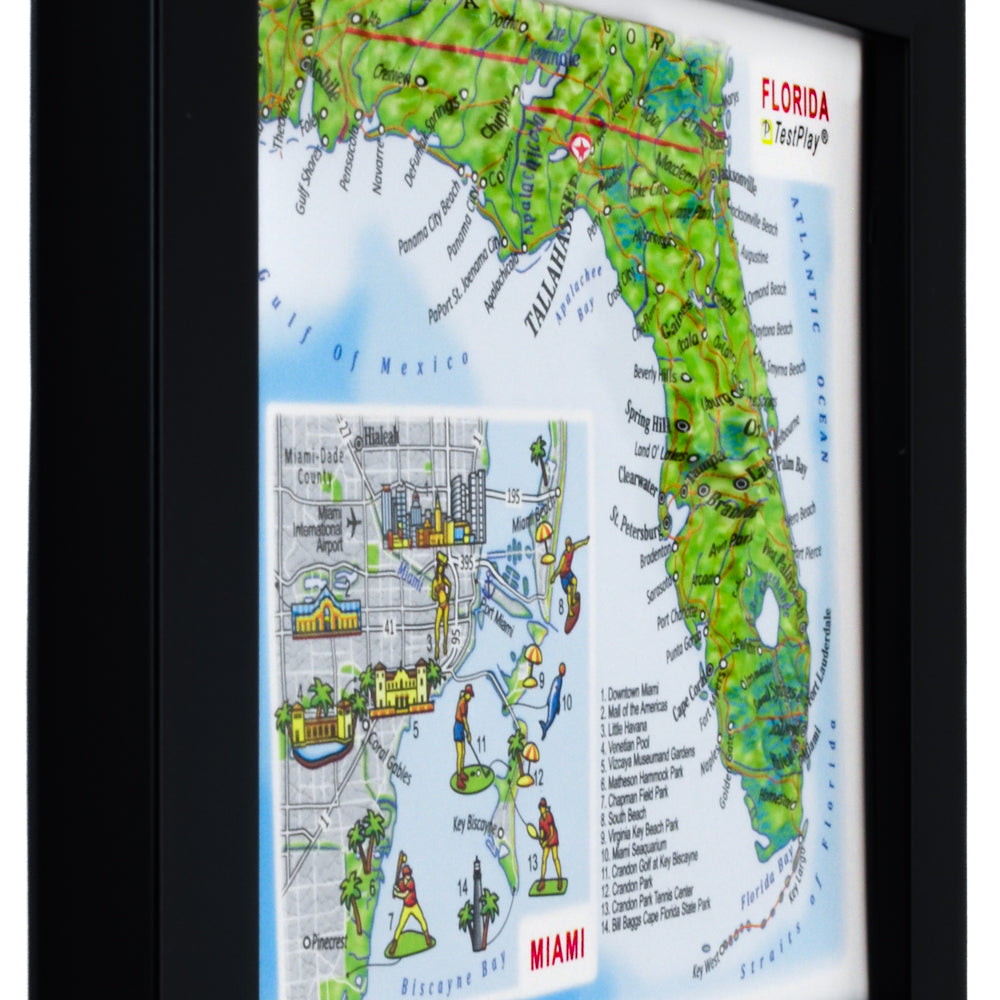 Florida & Miami 3D souvenir map