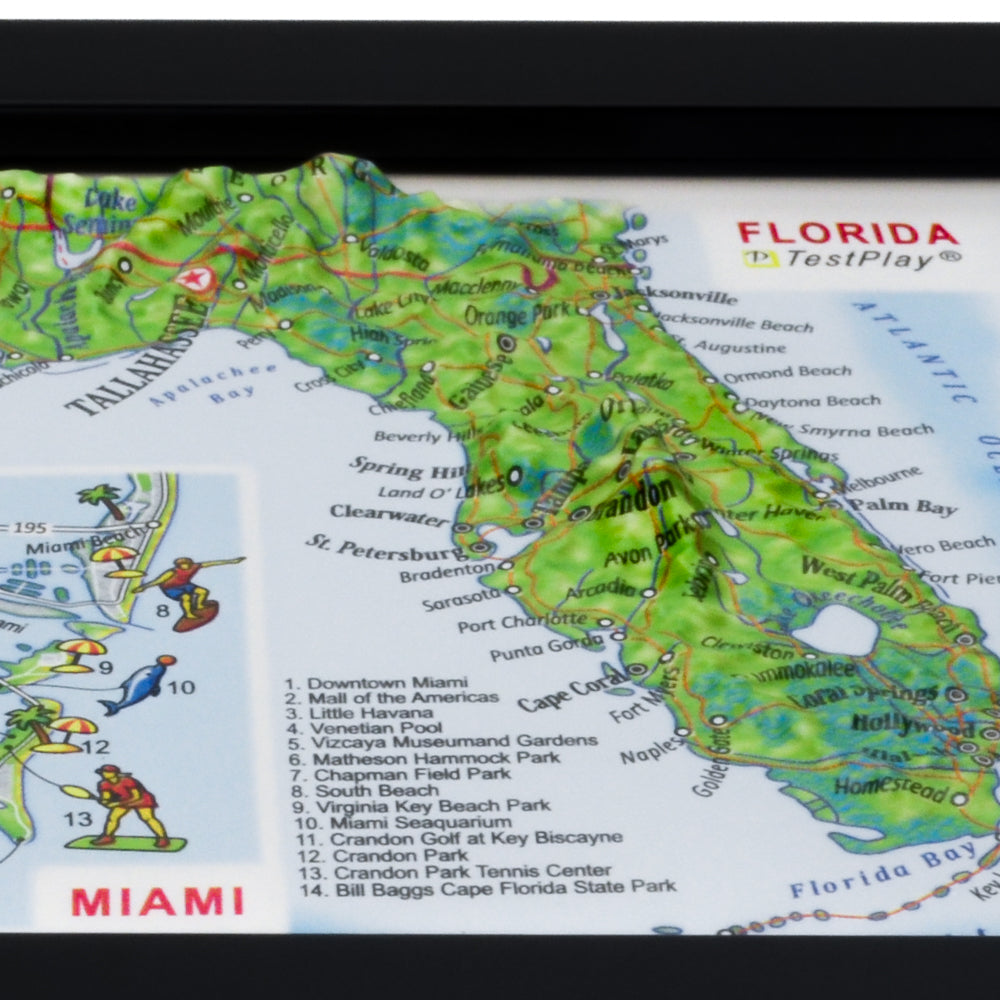 Florida & Miami 3D souvenir map