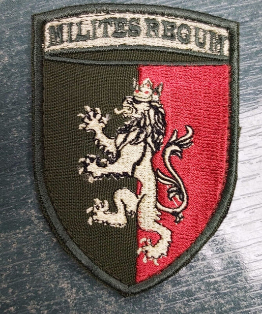 Ukraine Patch -24th separate mechanized brigade Milites Regum ZSU