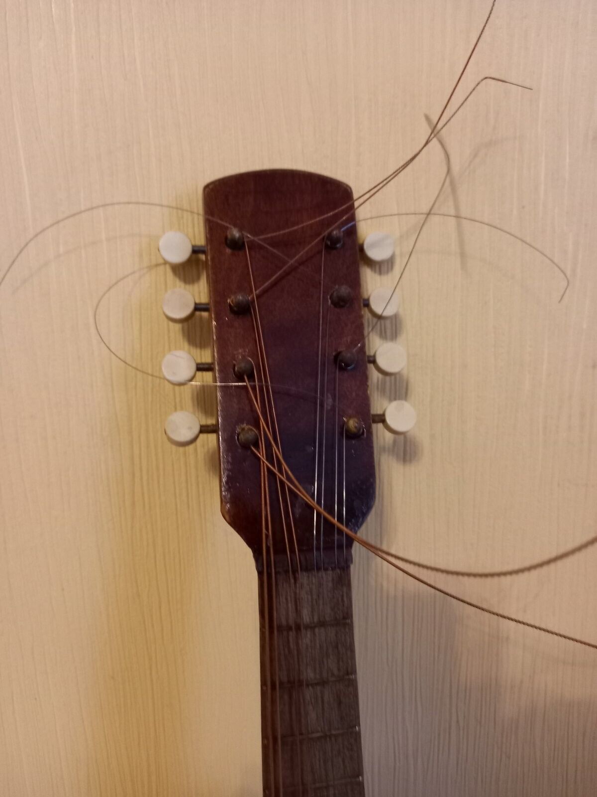 Unknown Italian Mandolin Folk Instrument Vintage 8 String