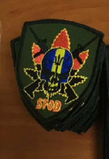 Ukraine Patch SFOD military skull
