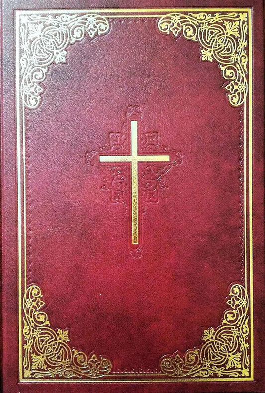 Book in Ukrainian Біблія Bible New translation of R.Turkonyak NEW dark red cover