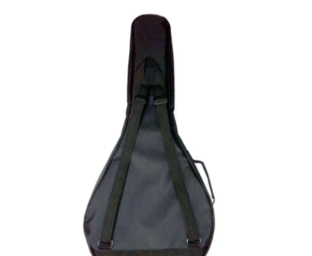 Excellent Case for Domra Tenor with insulation New