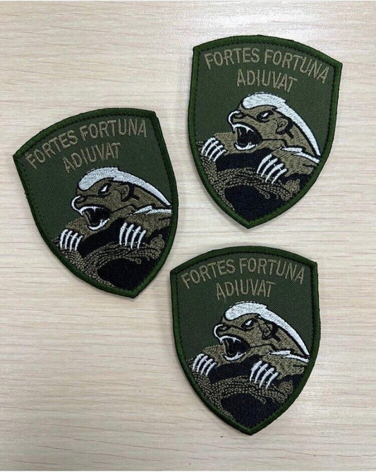 Ukraine Patch - Fortes fortuna adiuvat ZSU