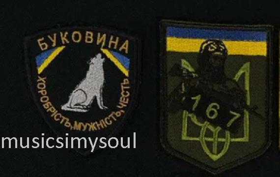 Lot of 2 - Ukraine Patch Bukovina trident flag Ukraine tactical military 2022