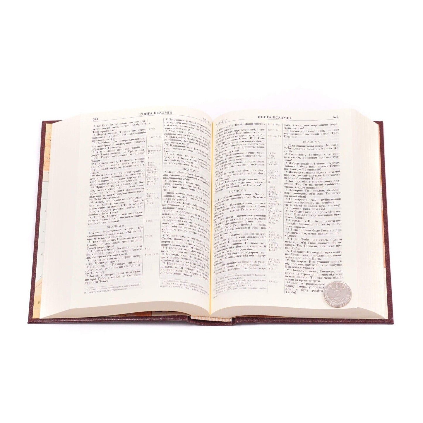 Ukrainian Bible - Біблія Святого Письма Старого й Нового Заповіту 13.5 х 18.5 cm