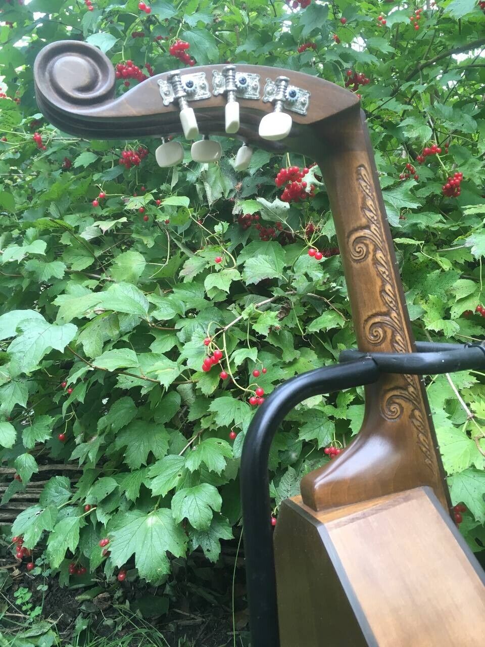 NEW Kobza 12 String Vihuela Ukraine Lute Folk Guitar Handmade Unique