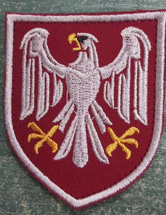 Ukraine Patch -82nd Airborne Assault Troops ZSU