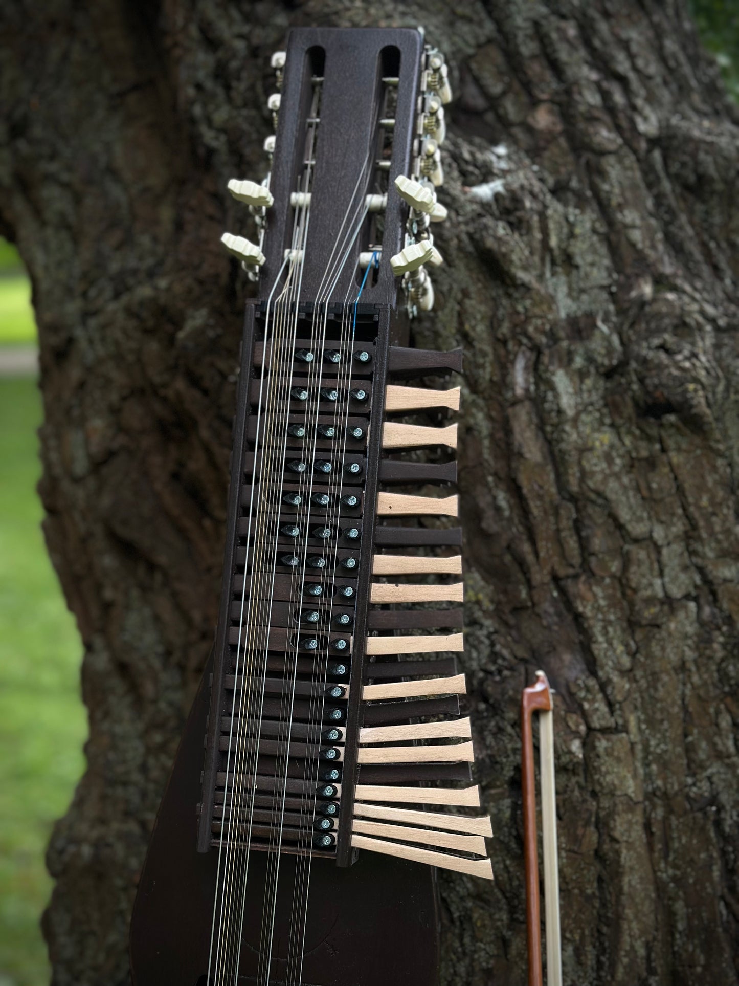 Nyckelharpa, Sweden Violin bowed, Hurdy Gurdy, Keyed Fiddle, Moraharpa, Viola, Esseharpe, Tagelharpa, Handmade Electric-Acoustic Nyckelharpa