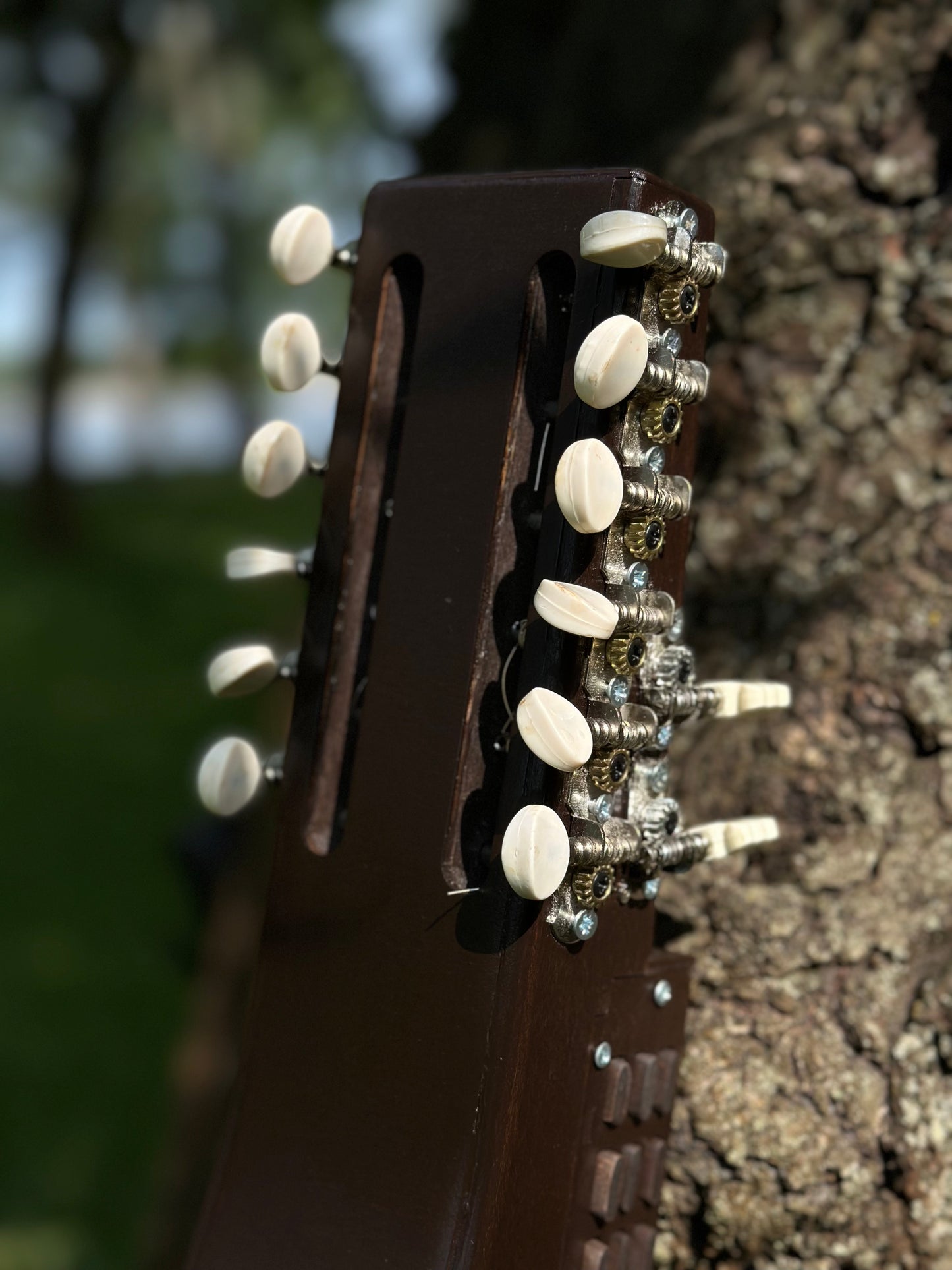 Nyckelharpa, Sweden Violin bowed, Hurdy Gurdy, Keyed Fiddle, Moraharpa, Viola, Esseharpe, Tagelharpa, Handmade Electric-Acoustic Nyckelharpa