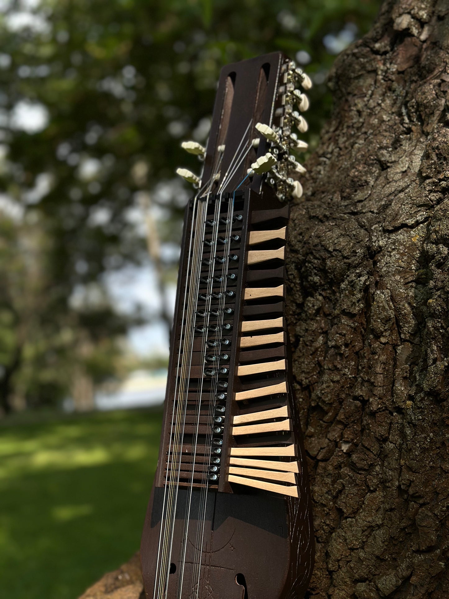 Nyckelharpa, Sweden Violin bowed, Hurdy Gurdy, Keyed Fiddle, Moraharpa, Viola, Esseharpe, Tagelharpa, Handmade Electric-Acoustic Nyckelharpa