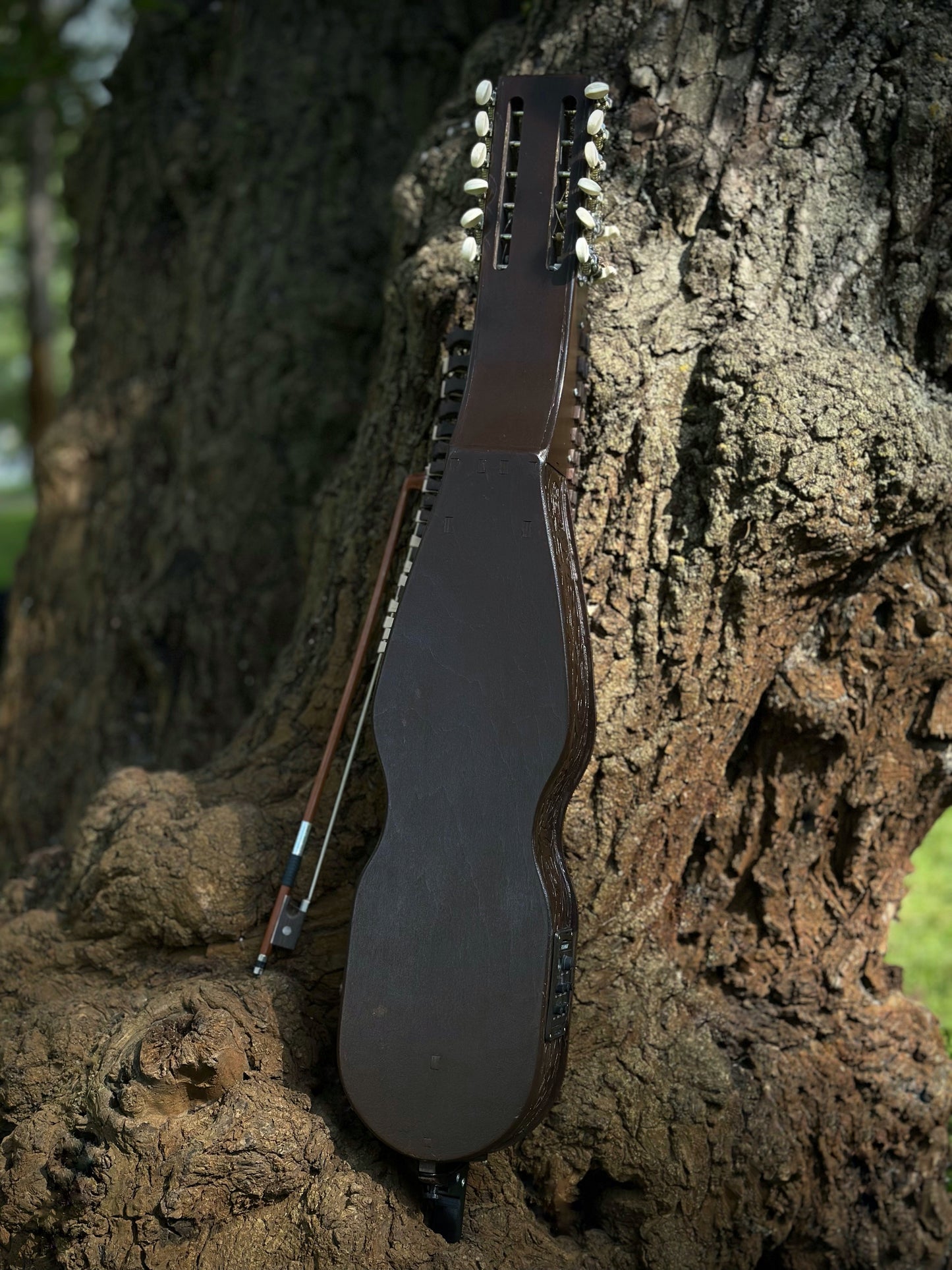 Nyckelharpa, Sweden Violin bowed, Hurdy Gurdy, Keyed Fiddle, Moraharpa, Viola, Esseharpe, Tagelharpa, Handmade Electric-Acoustic Nyckelharpa