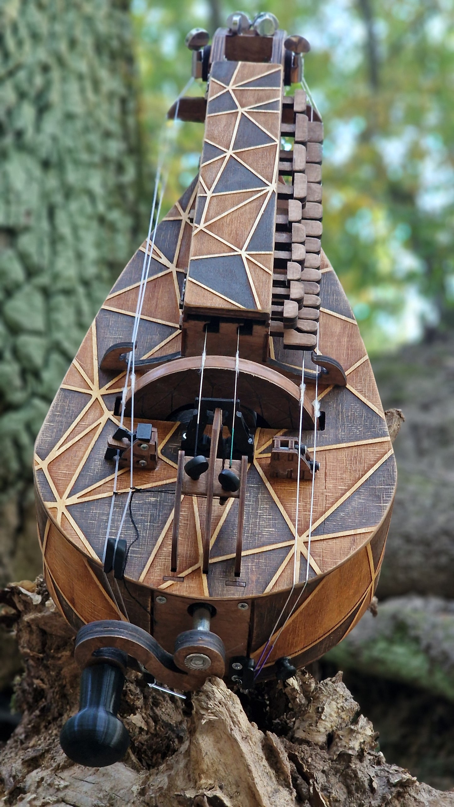 Hurdy-Gurdy, Hurdy-Gurdy with Pickup, Wooden Hurdy Gurdy, Handmade Hurdy Gurdy, 6 String Hurdy Gurdy, Lyre instrument, 24 keys, Lyre gift