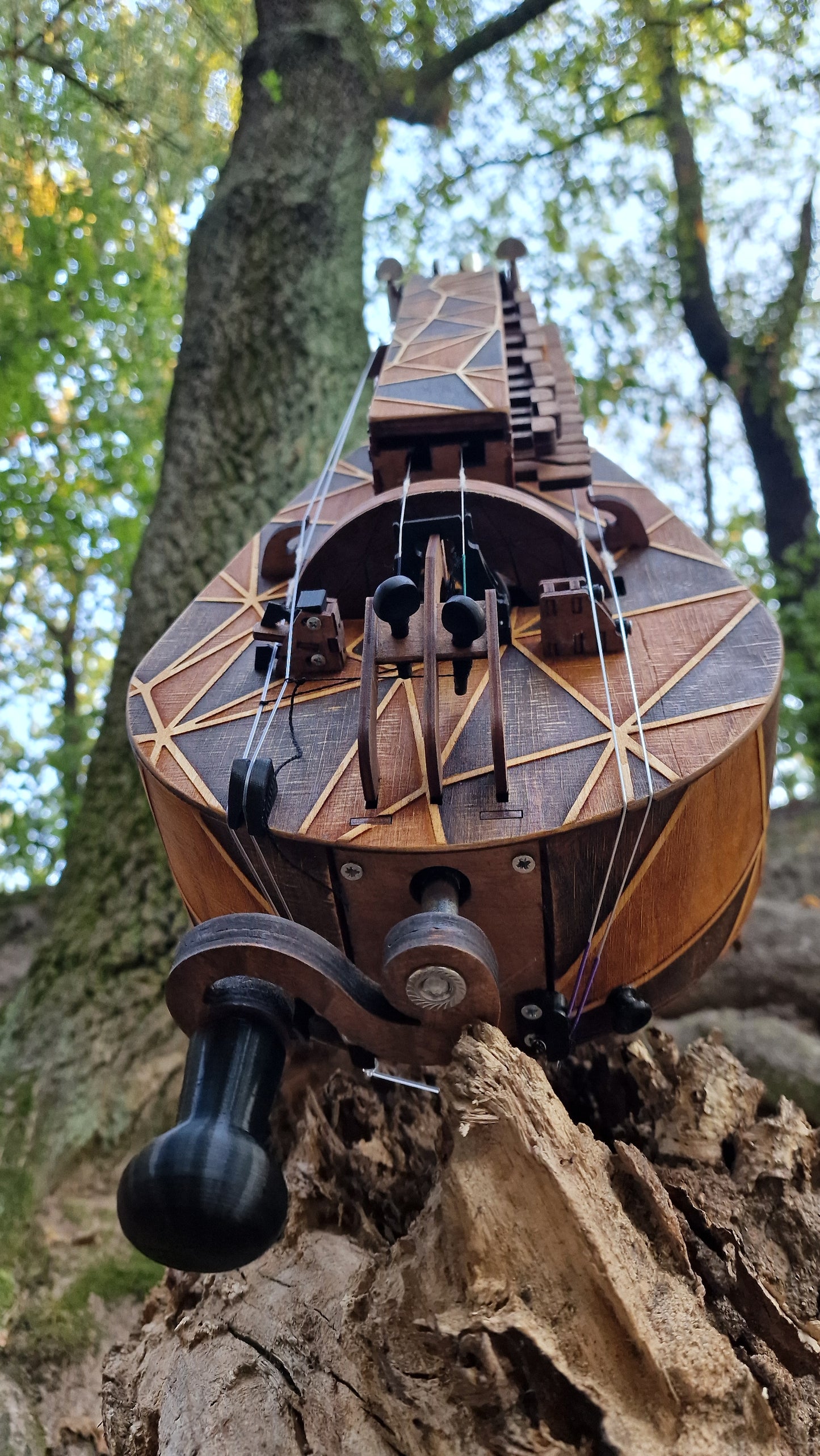 Hurdy-Gurdy, Hurdy-Gurdy with Pickup, Wooden Hurdy Gurdy, Handmade Hurdy Gurdy, 6 String Hurdy Gurdy, Lyre instrument, 24 keys, Lyre gift