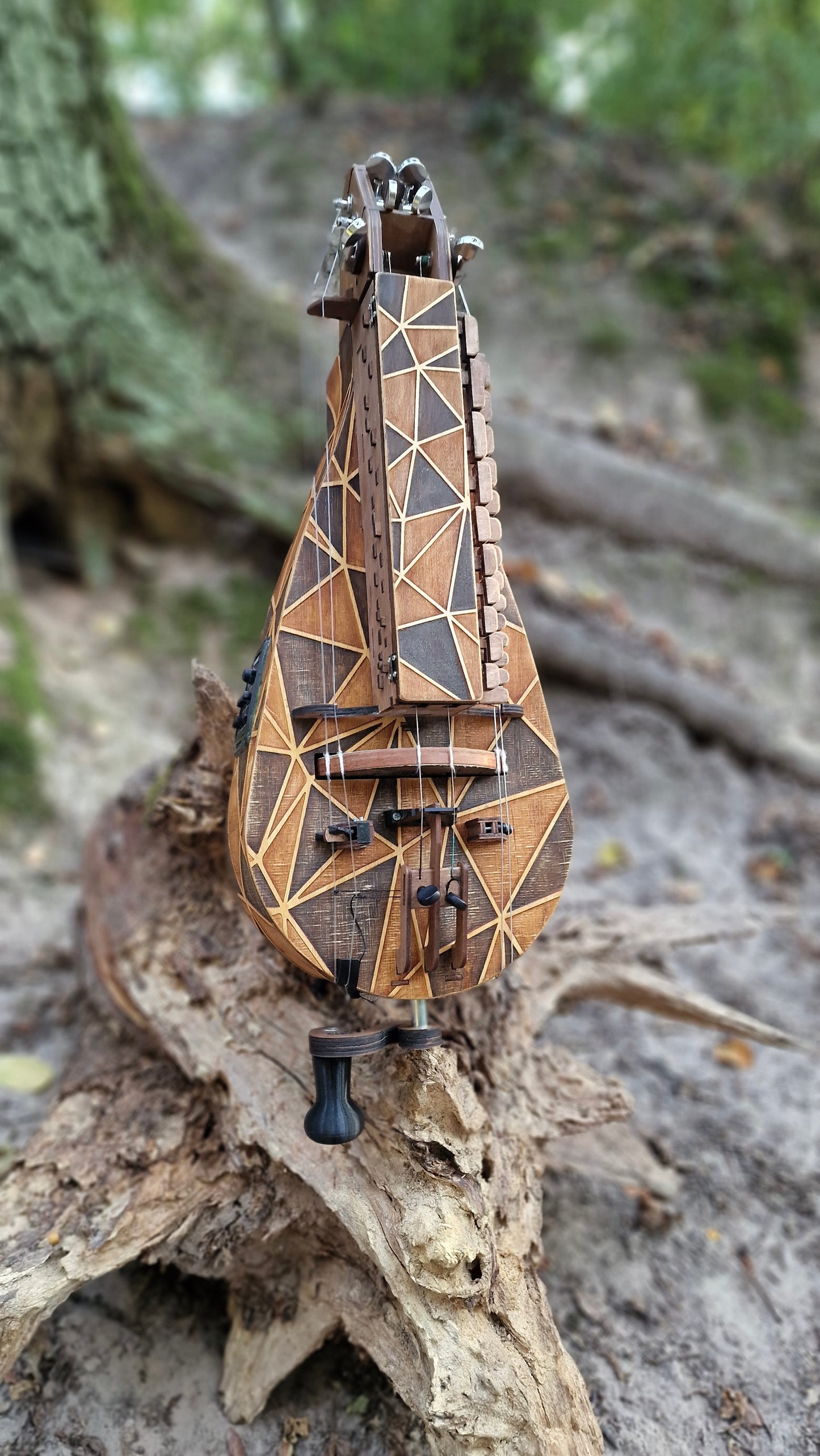 Hurdy-Gurdy, Hurdy-Gurdy with Pickup, Wooden Hurdy Gurdy, Handmade Hurdy Gurdy, 6 String Hurdy Gurdy, Lyre instrument, 24 keys, Lyre gift