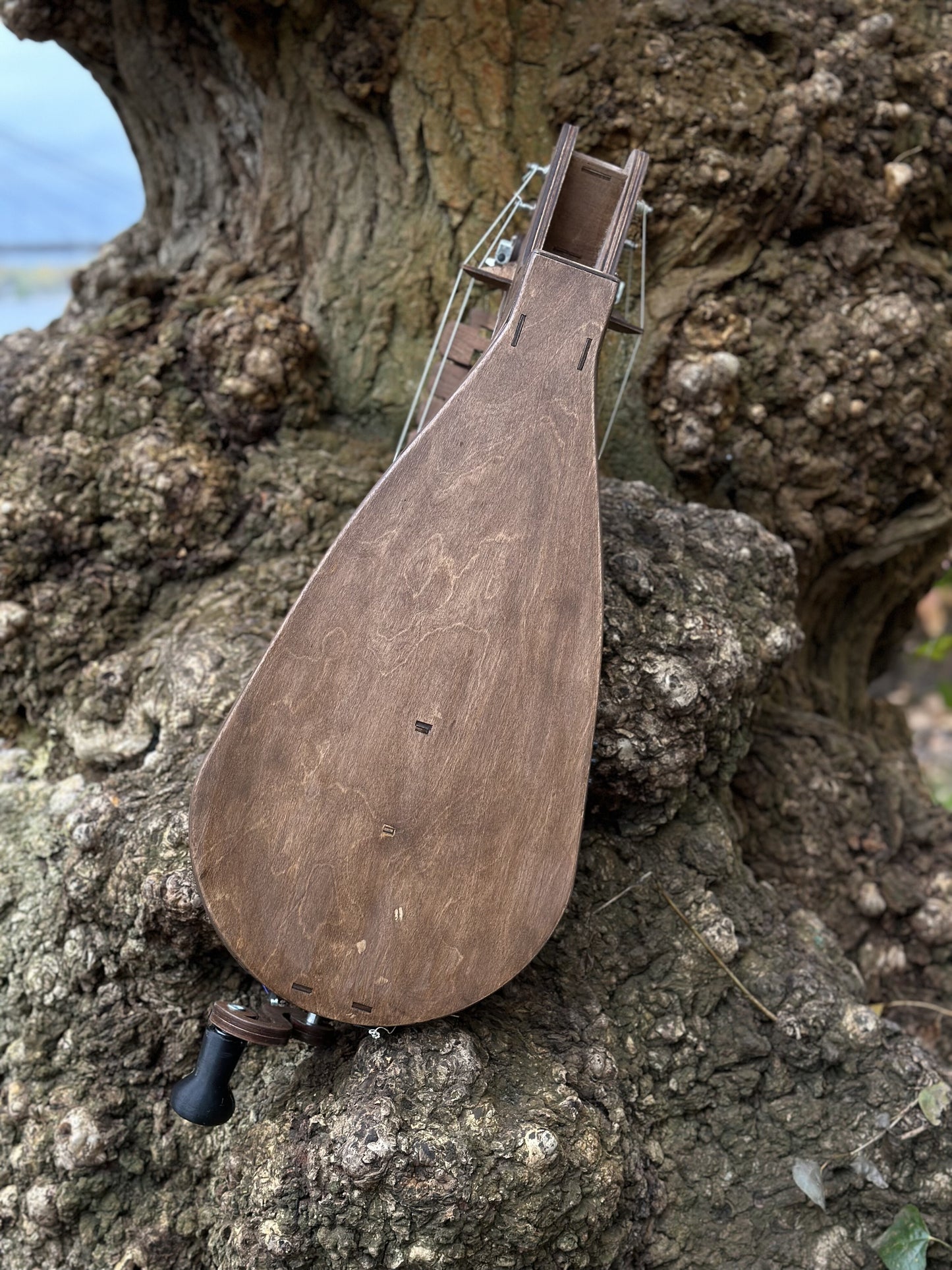 Electro-Acoustic Hurdy-Gurdy With Pickup, Handmade 6 String Hurdy Gurdy