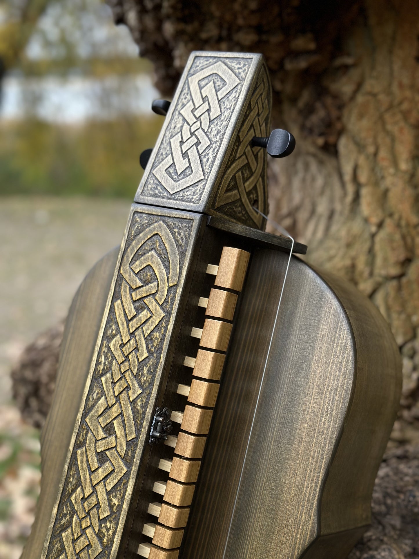 Hurdy-Gurdy, Wooden Hurdy Gurdy, Handmade Hurdy Gurdy, 4-String Hurdy Gurdy, Lyre instrument, 17 keys, Hurdy-gurdy gift, Ethnic instrument