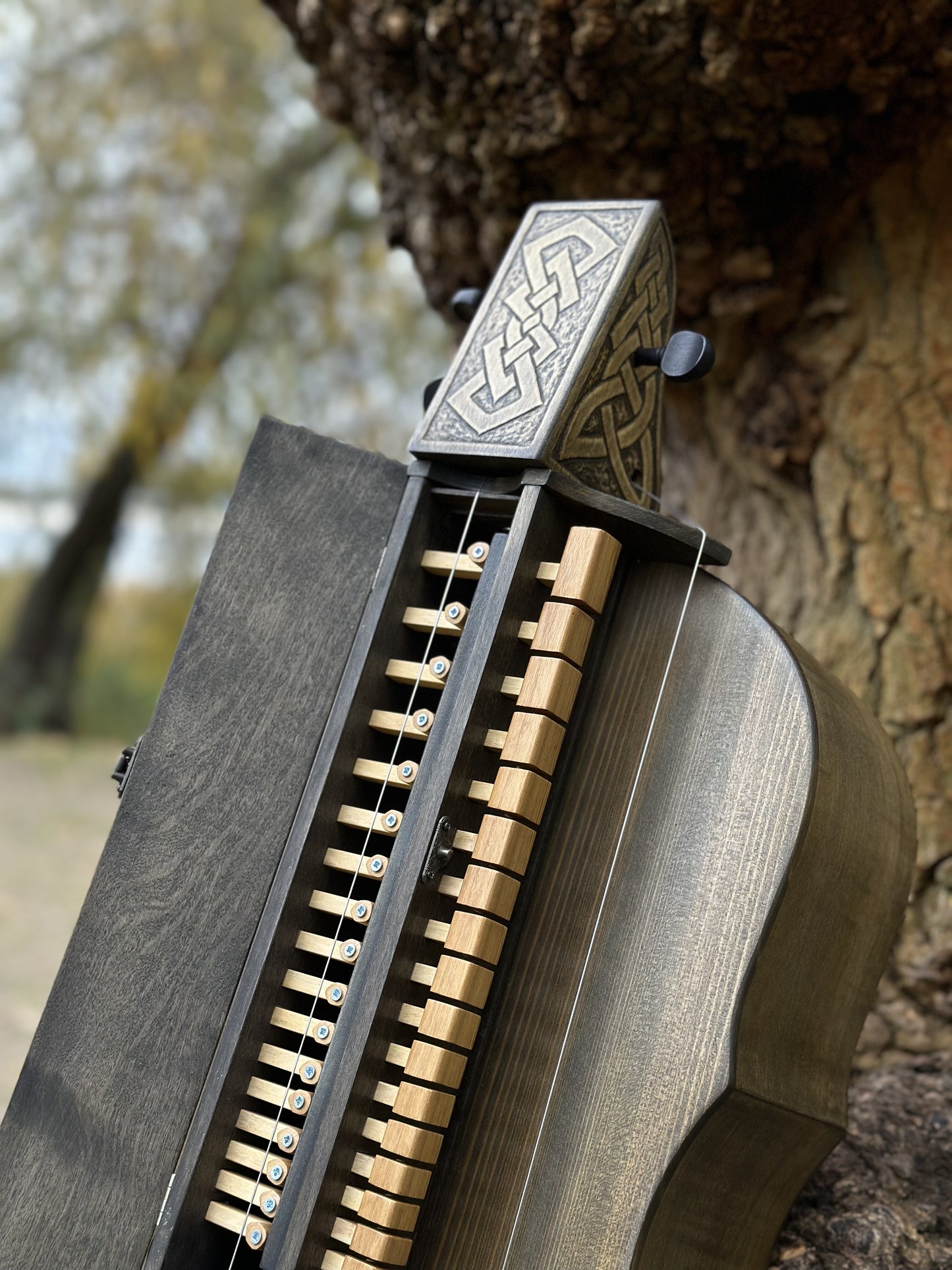 Hurdy-Gurdy, Wooden Hurdy Gurdy, Handmade Hurdy Gurdy, 4-String Hurdy Gurdy, Lyre instrument, 17 keys, Hurdy-gurdy gift, Ethnic instrument