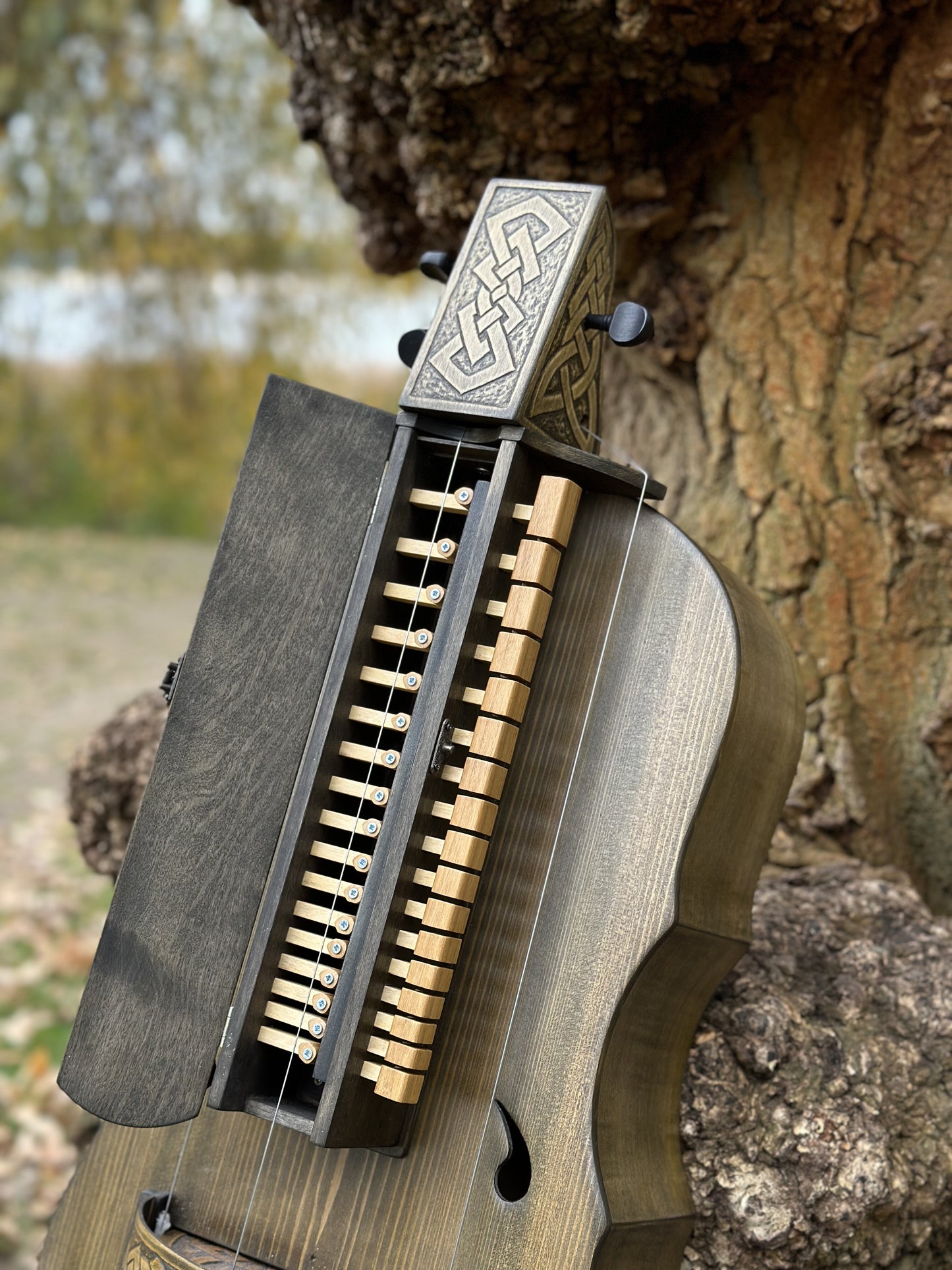 Hurdy-Gurdy, Wooden Hurdy Gurdy, Handmade Hurdy Gurdy, 4-String Hurdy Gurdy, Lyre instrument, 17 keys, Hurdy-gurdy gift, Ethnic instrument