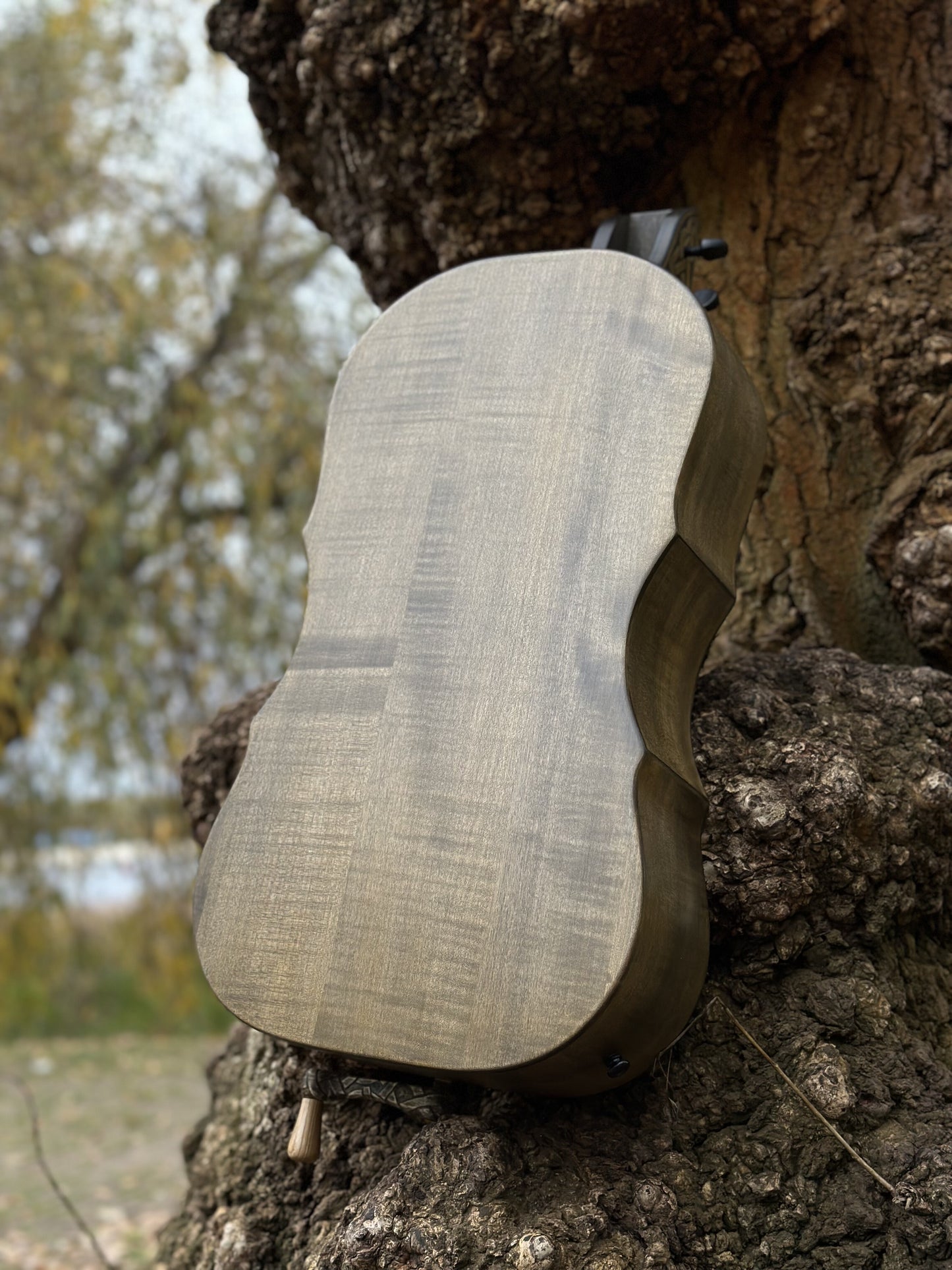 Hurdy-Gurdy, Wooden Hurdy Gurdy, Handmade Hurdy Gurdy, 4-String Hurdy Gurdy, Lyre instrument, 17 keys, Hurdy-gurdy gift, Ethnic instrument
