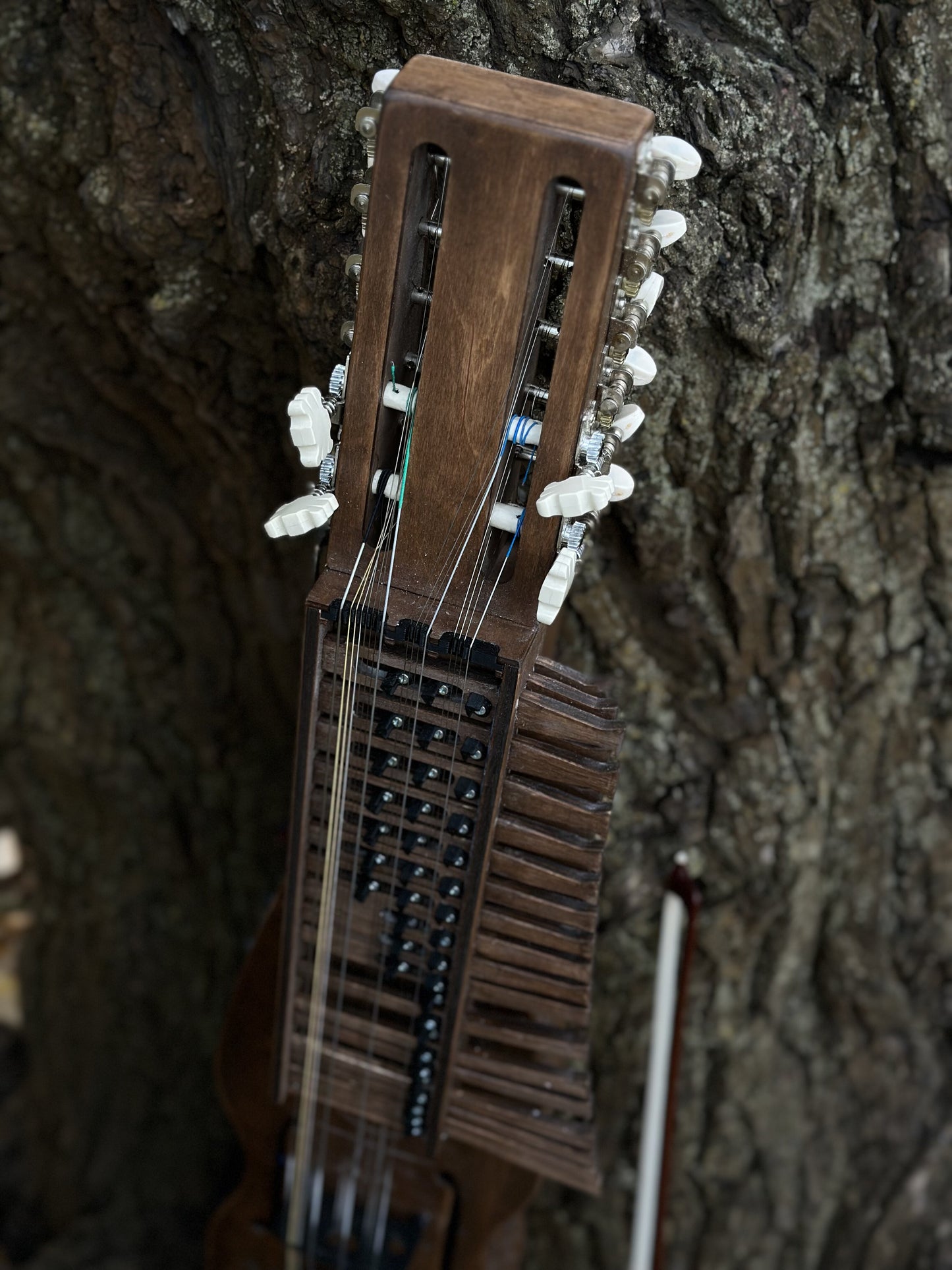 Nyckelharpa, Sweden Violin bowed, Keyed Fiddle, Moraharpa, Viola, Esseharpe, Handmade Electric-Acoustic Nyckelharpa