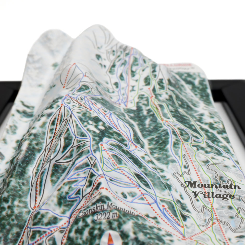 Telluride 3D Ski Resort map