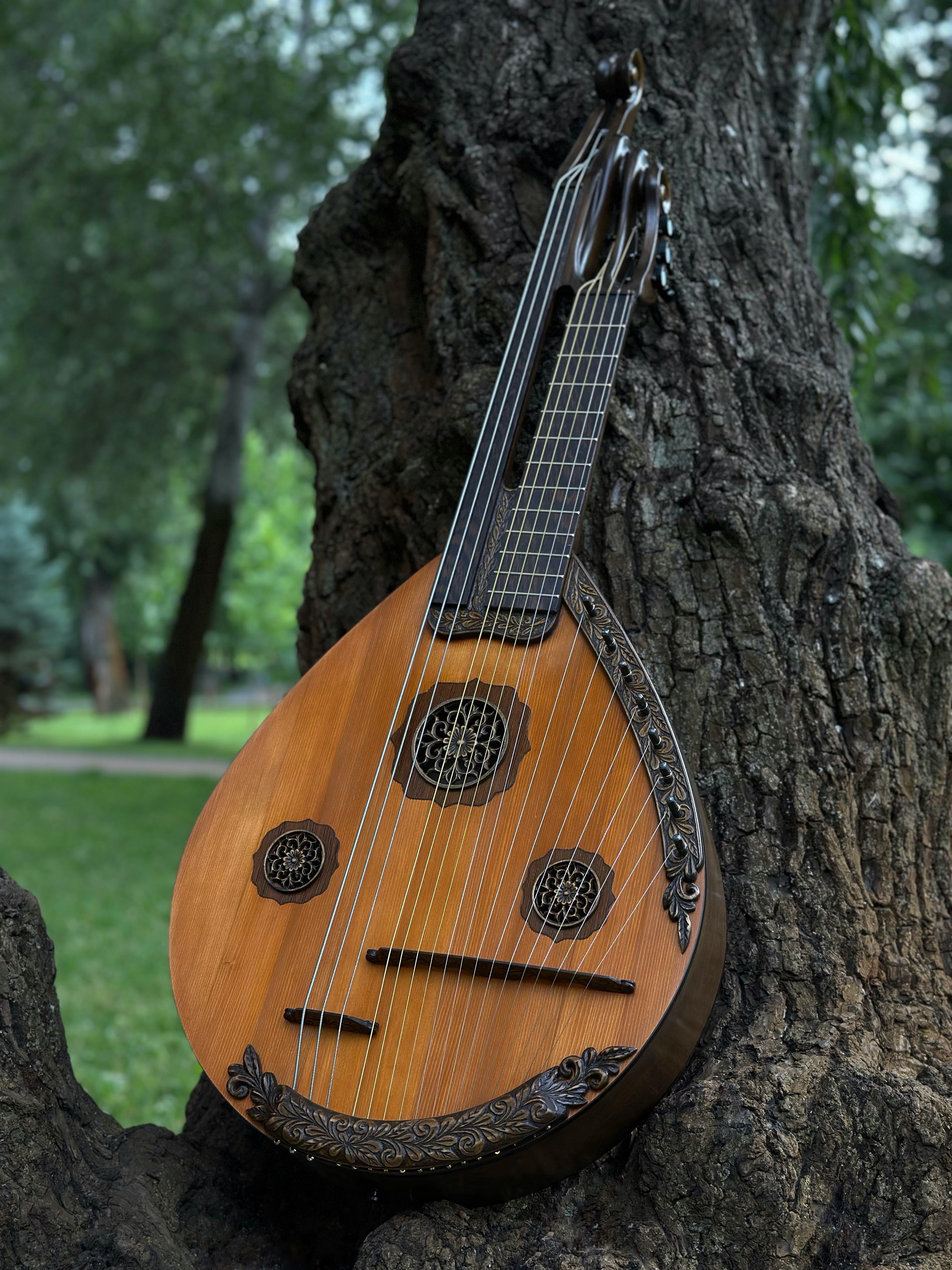NEW Kobza Double Neck 17 String Vihuela Ukraine Lute Folk Guitar Handm ...